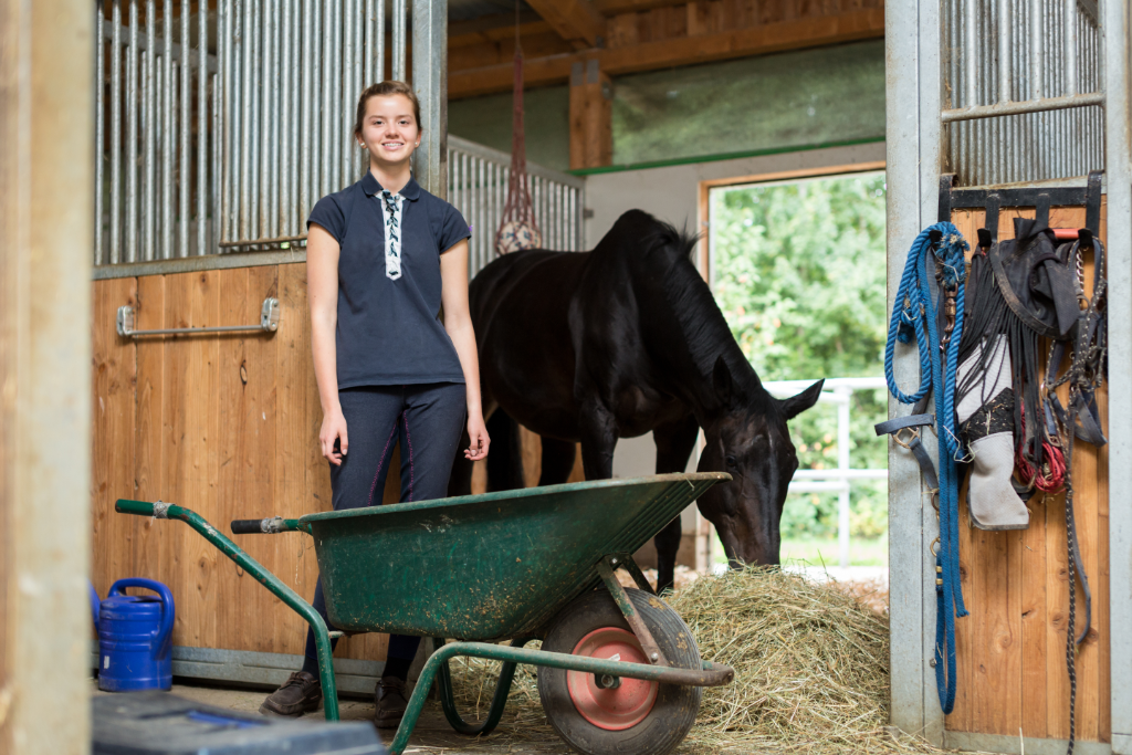 animal handler image